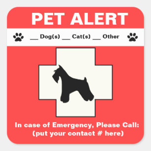 Sticker Carré Urgence vigilante d'animal familier