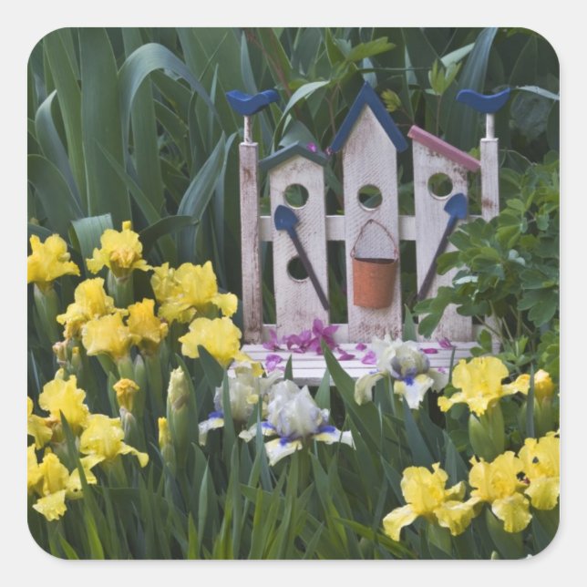 Sticker Carré USA, Pennsylvanie. Les iris des jardins poussent a (Devant)