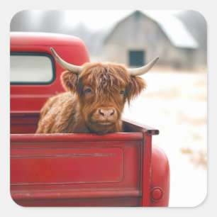 Sticker Carré Vache des Highlands dans un camion rétro rouge