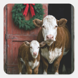 Sticker Carré Vache et veau Hereford de Noël
