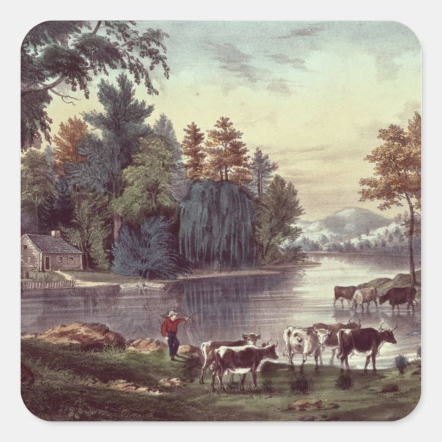 Sticker Carré Vaches sur la rive d'un lac (Devant)