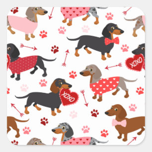 Sticker Carré Valentine Dachshund