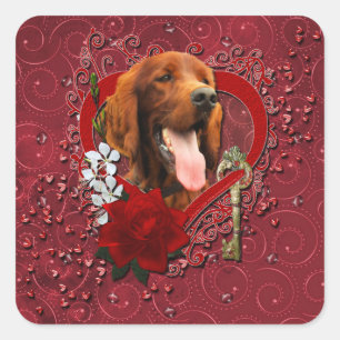 Sticker Carré Valentines - Clé de mon coeur - Setter irlandais