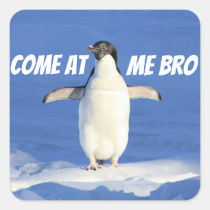 Sticker Carré Venez à moi pingouin de Bro Meme