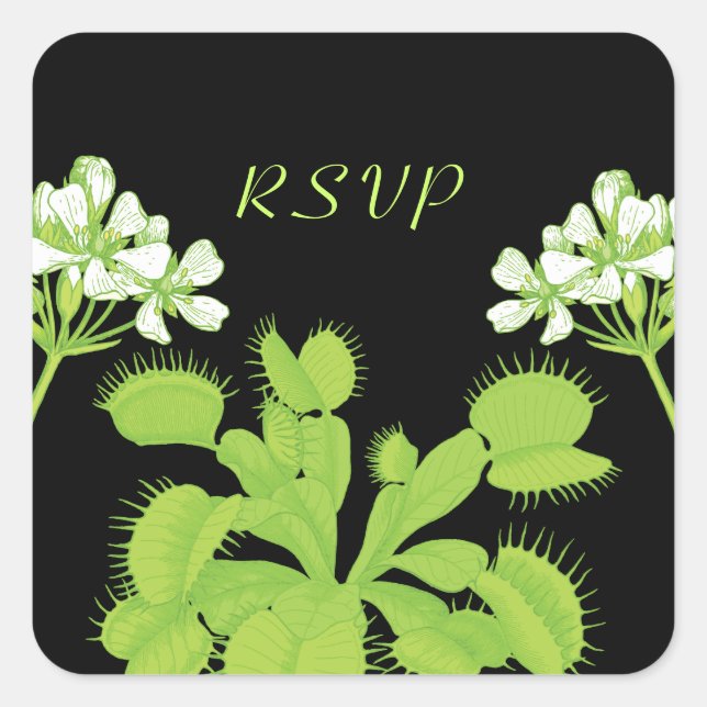 Sticker Carré Vénus Flytrap Fleurs RSVP (Devant)