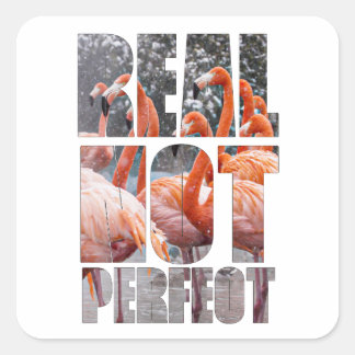 Sticker Carré Véritable Flamant rose de devis pas parfait Sticke