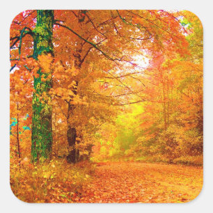 Sticker Carré Vermont Autumn Nature Paysage