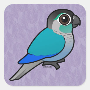 Sticker Carré Vert turquoise Conure