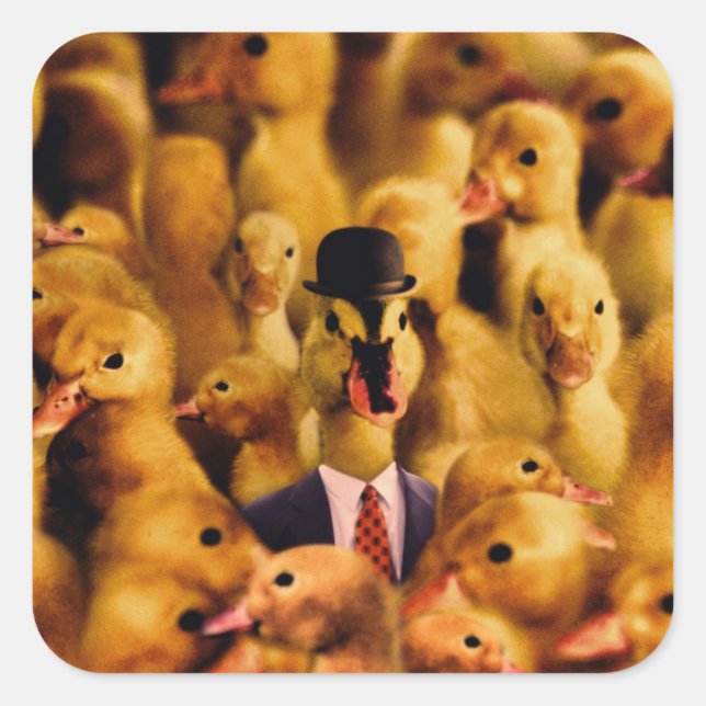 Sticker Carré Vêtu De Succès Canard (Devant)