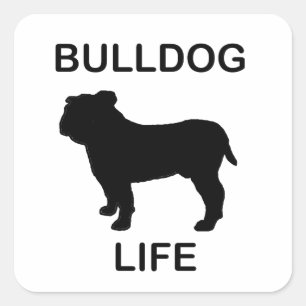 Sticker Carré vie de bulldog