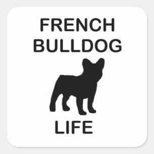 Sticker Carré vie de bulldog français