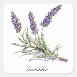 Sticker Carré Vie de plantes : Lavande, personnalisable