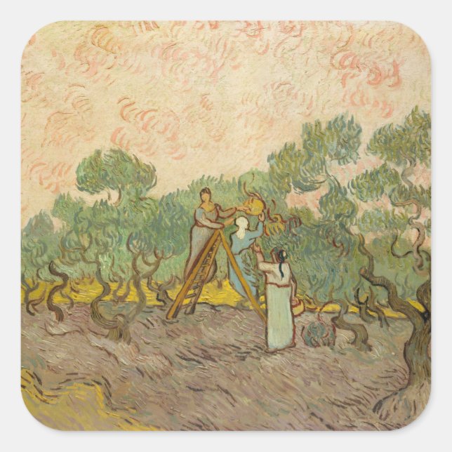 Sticker Carré Vincent van Gogh - Femmes cueillette d'olives (Devant)