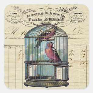 Sticker Carré Vintage français chic Inséparable de cage à ois