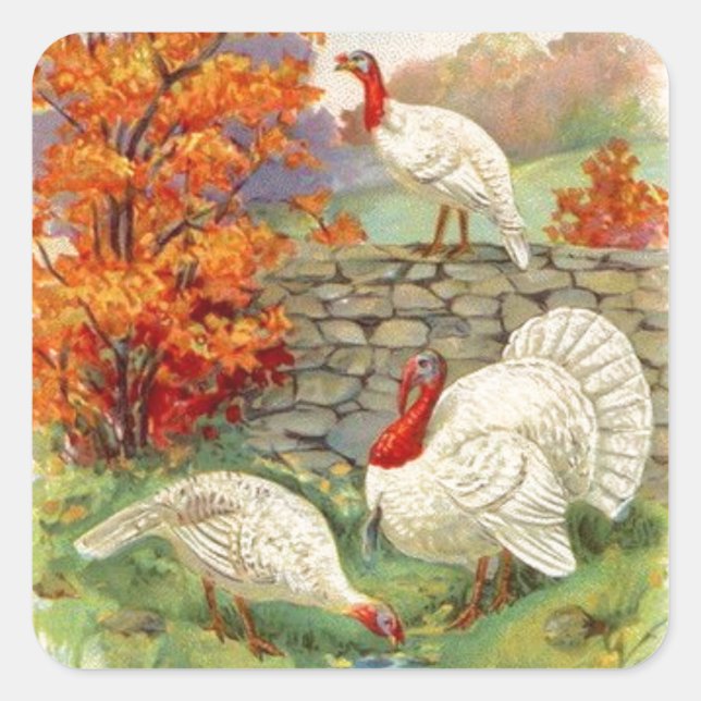 Sticker Carré Vintages Turclés blanches Thanksgiving (Devant)
