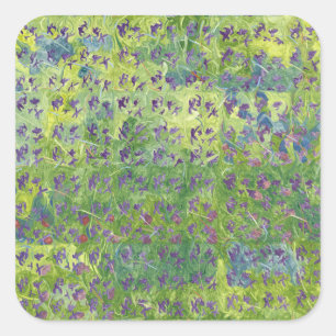 Sticker Carré Violets doux 2012