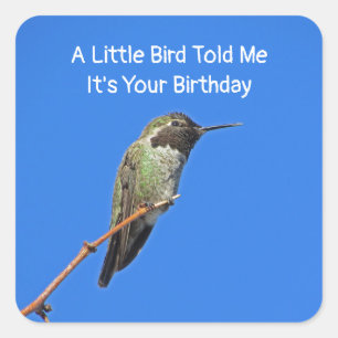 Sticker Carré Voeux D'Anniversaire Hummingbird Enveloppe Sceau