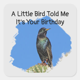 Sticker Carré Voeux D'Anniversaire Humoristique Enveloppe Étonna