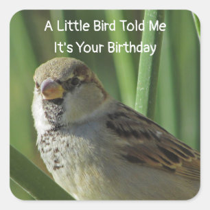 Sticker Carré Voeux d'anniversaire humoristiques Sceau d'envelop