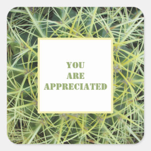 Sticker Carré Vous êtes apprécié Photo de cactus du désert Merci