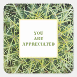 Sticker Carré Vous Êtes Apprécié Plante Désert Cactus Merci