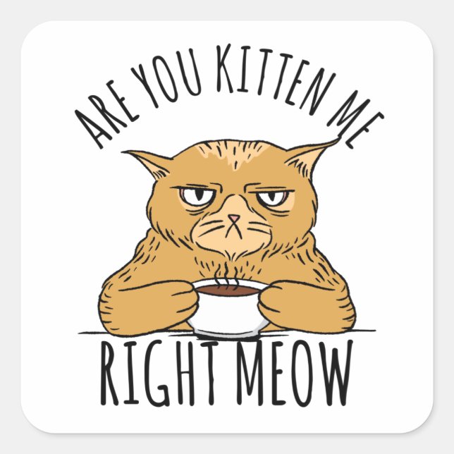 Sticker Carré Vous Me Chattez Un Jeu De Chatte. (Devant)
