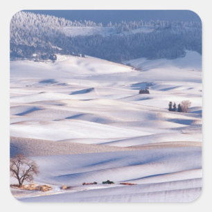 Sticker Carré Vue de Steptoe Butte des collines ondulées couvert