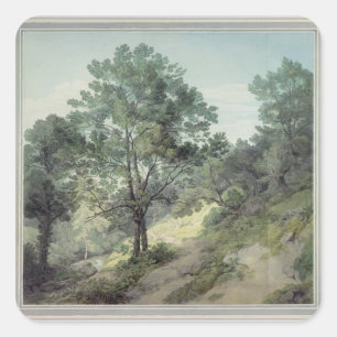 Sticker Carré Vue près de Cantonteign, Devon