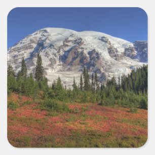 Sticker Carré WA, Parc national du Mont-Rainier, Paradise Valley