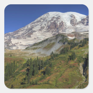 Sticker Carré WA, Parc national du Mont Rainier, vue depuis
