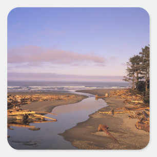 Sticker Carré WA, parc national Olympique, Kalaloch Beach et Kal