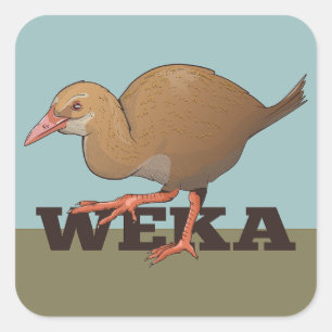 Sticker Carré Weka New Zealand Bird