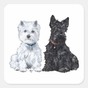 Sticker Carré West Highland White & Terriers Écossais