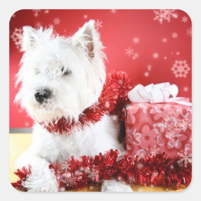 Sticker Carré Westie Snowflake Conception de vacances (Devant)