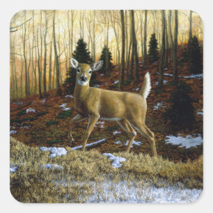 Sticker Carré Whitetail Deer Doe dans la forêt d'automne