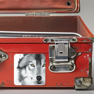 Sticker Carré Wolf Portrait noir blanc