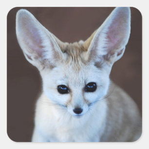 Sticker Carré Worlest Cutest Fennec Fox