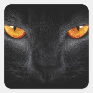 Sticker Carré Yeux de panthère noire