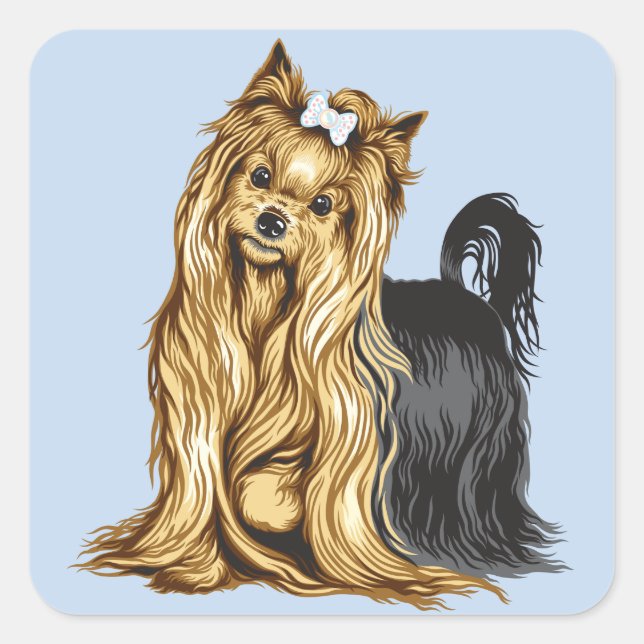 Sticker Carré yorkshire terrier (Devant)