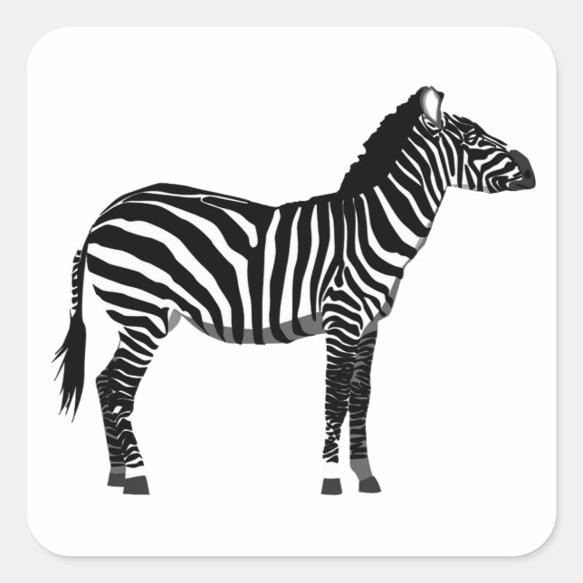 Sticker Carré Zebra en bandes noir et blanc (Devant)