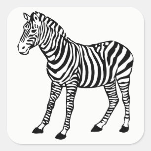 Sticker Carré zèbre