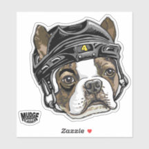Casque de hockey Terrier de Boston 4