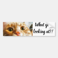 Sticker Cattitude