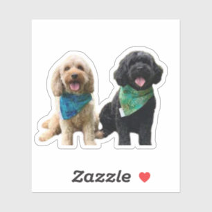 Sticker Cavapoo Cavoodle Cockerpoo Chien de concepteur de