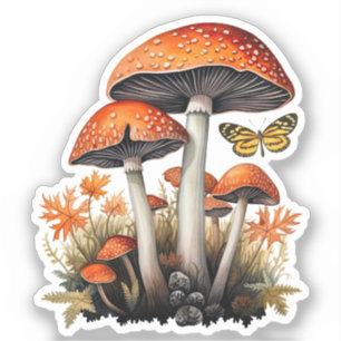 Sticker Champignons de bois orange d'automne