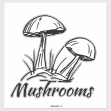 Champignons des bois