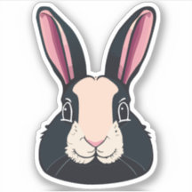 Characteur de dessin sur lapin mignon