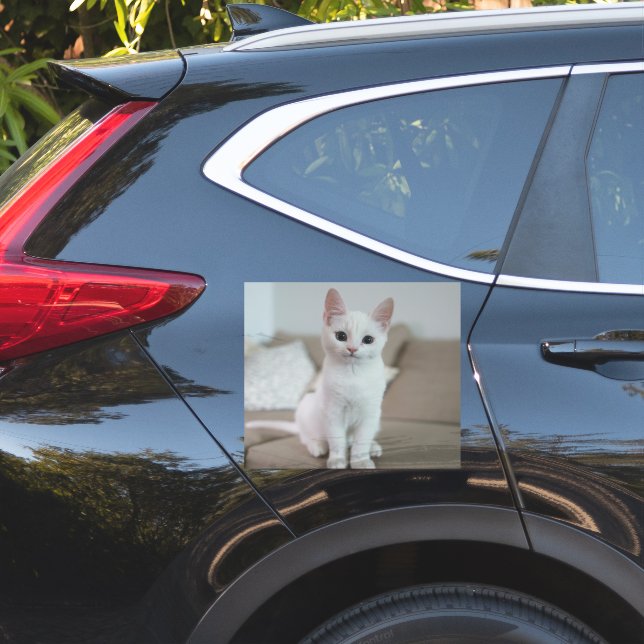 Sticker chat blanc | Zazzle_Growshop. (Coté voiture)