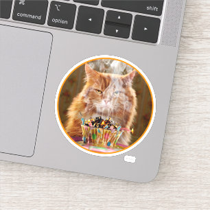 Sticker Chat Cranky Drôle Avec Cupcake D'Anniversaire Fon