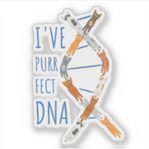 Chat de science ADN Hélice J'ai un ADN Purr-fait